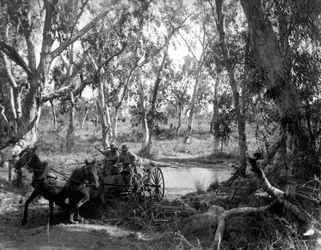 Crossing Salt Creek near the Roper River, Eastern Arnhem Land, Australia, July 1911